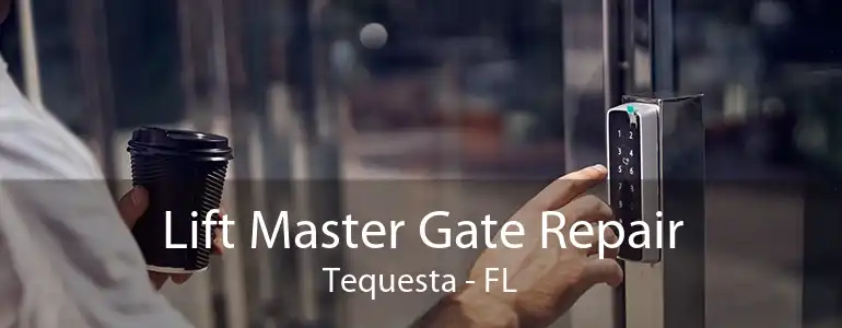 Lift Master Gate Repair Tequesta - FL