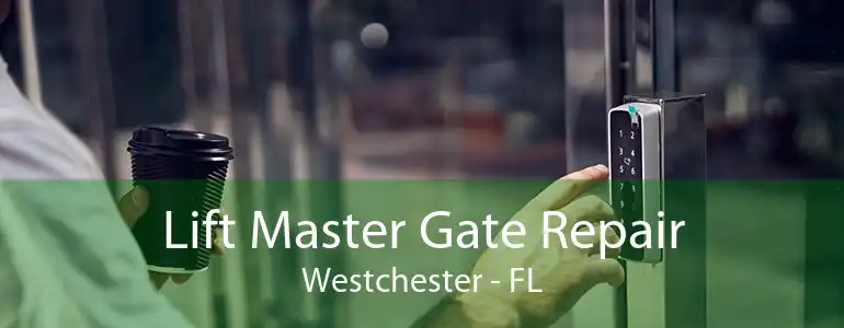 Lift Master Gate Repair Westchester - FL