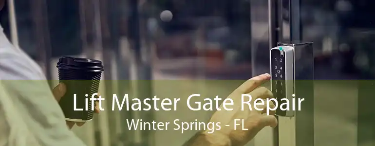 Lift Master Gate Repair Winter Springs - FL