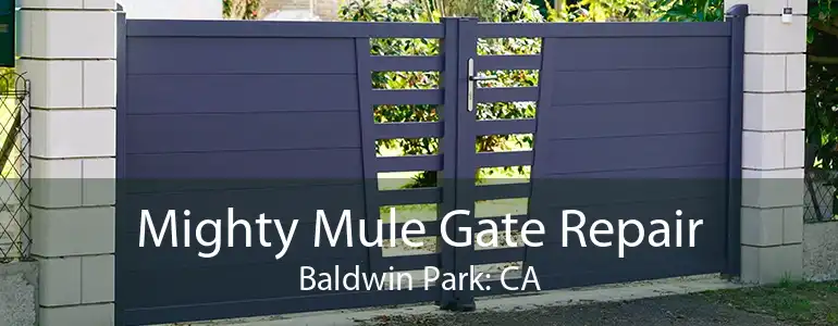 Mighty Mule Gate Repair Baldwin Park: CA