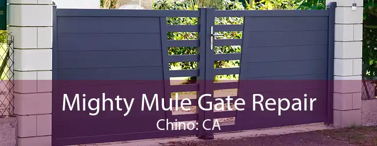 Mighty Mule Gate Repair Chino: CA