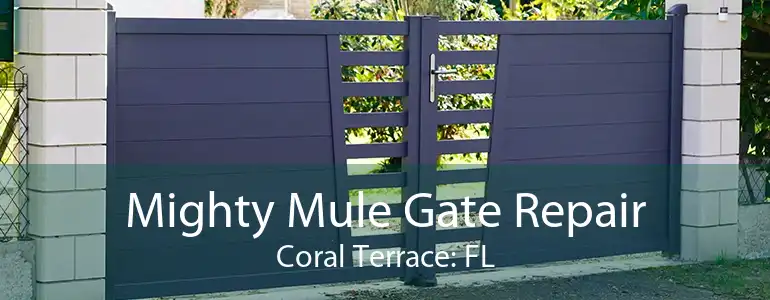 Mighty Mule Gate Repair Coral Terrace: FL