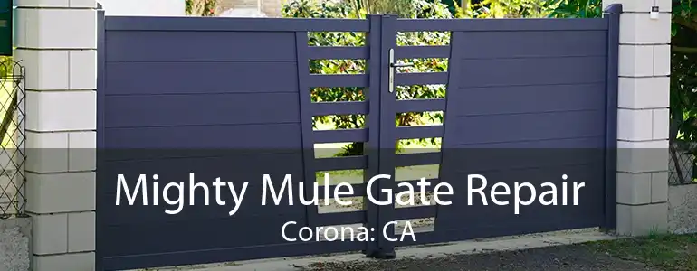 Mighty Mule Gate Repair Corona: CA