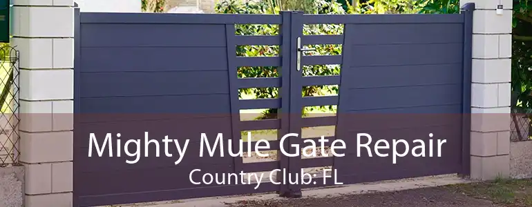 Mighty Mule Gate Repair Country Club: FL