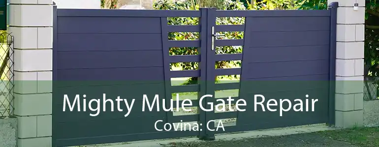 Mighty Mule Gate Repair Covina: CA