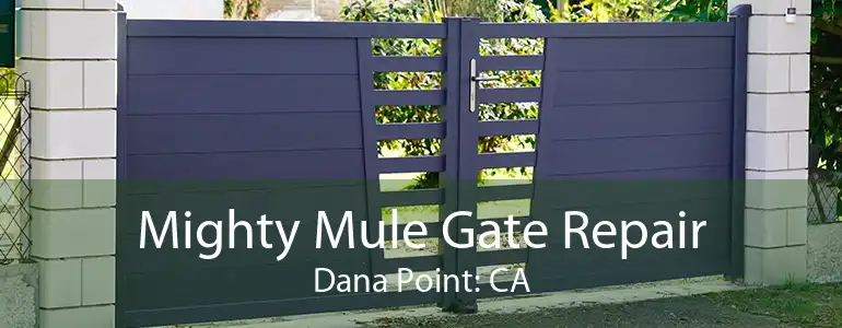 Mighty Mule Gate Repair Dana Point: CA