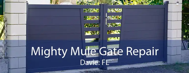 Mighty Mule Gate Repair Davie: FL