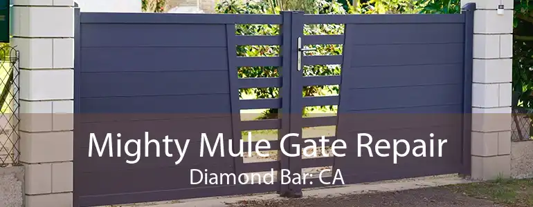 Mighty Mule Gate Repair Diamond Bar: CA