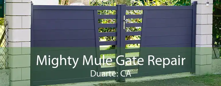 Mighty Mule Gate Repair Duarte: CA