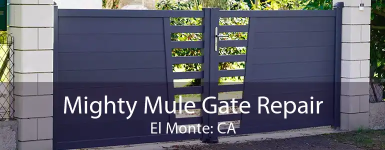 Mighty Mule Gate Repair El Monte: CA