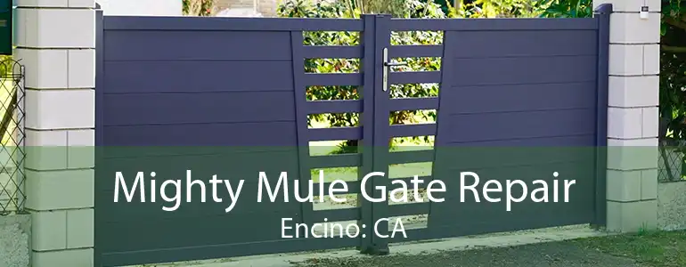 Mighty Mule Gate Repair Encino: CA