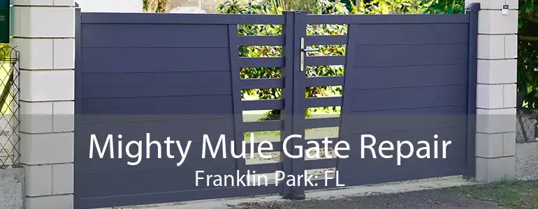 Mighty Mule Gate Repair Franklin Park: FL