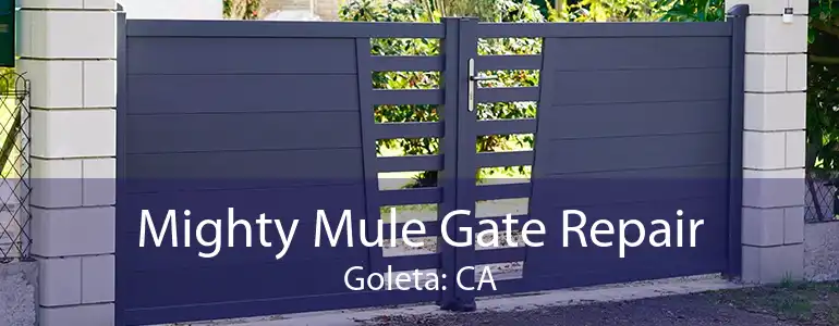 Mighty Mule Gate Repair Goleta: CA