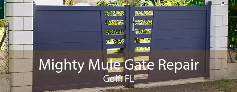 Mighty Mule Gate Repair Golf: FL