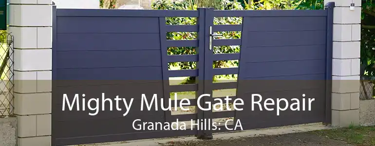 Mighty Mule Gate Repair Granada Hills: CA