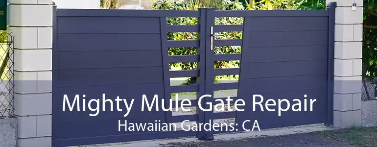 Mighty Mule Gate Repair Hawaiian Gardens: CA