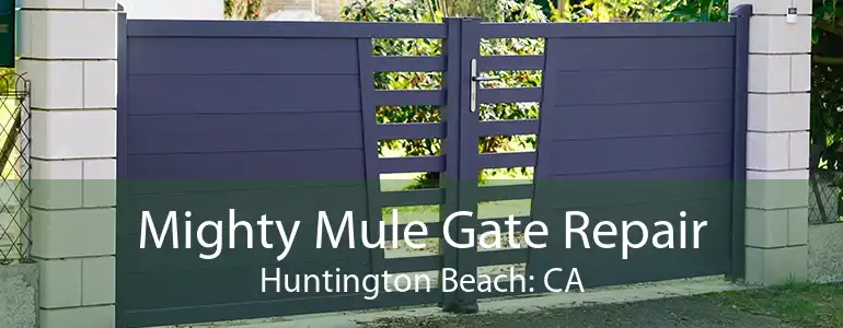 Mighty Mule Gate Repair Huntington Beach: CA