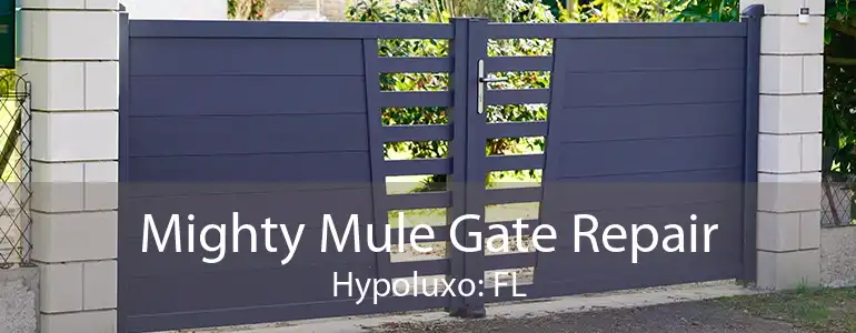 Mighty Mule Gate Repair Hypoluxo: FL