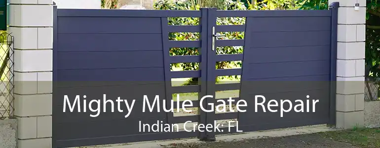 Mighty Mule Gate Repair Indian Creek: FL