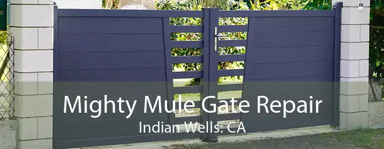 Mighty Mule Gate Repair Indian Wells: CA