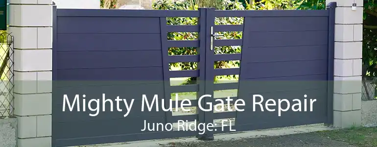 Mighty Mule Gate Repair Juno Ridge: FL