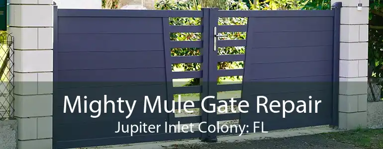 Mighty Mule Gate Repair Jupiter Inlet Colony: FL