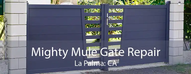 Mighty Mule Gate Repair La Palma: CA