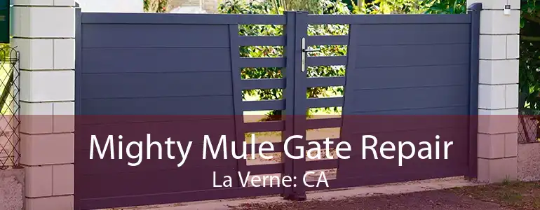 Mighty Mule Gate Repair La Verne: CA