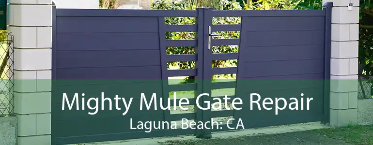 Mighty Mule Gate Repair Laguna Beach: CA