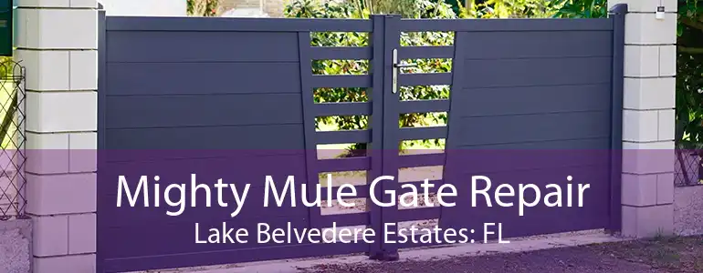 Mighty Mule Gate Repair Lake Belvedere Estates: FL