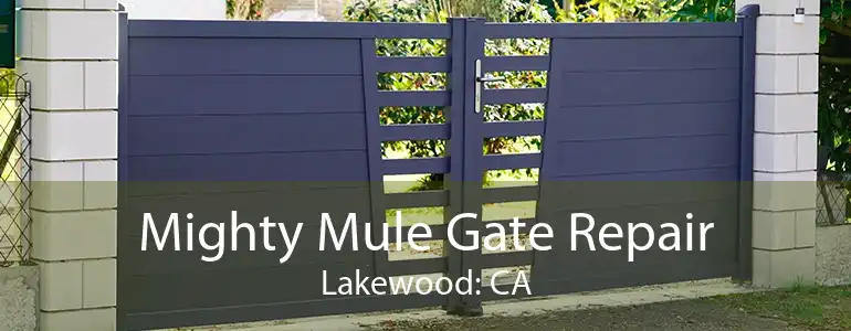 Mighty Mule Gate Repair Lakewood: CA