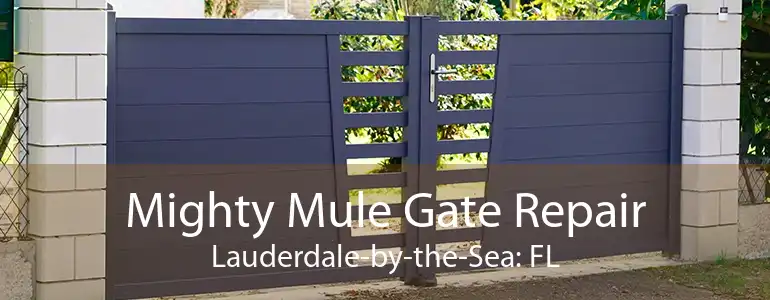 Mighty Mule Gate Repair Lauderdale-by-the-Sea: FL