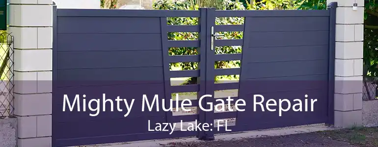 Mighty Mule Gate Repair Lazy Lake: FL