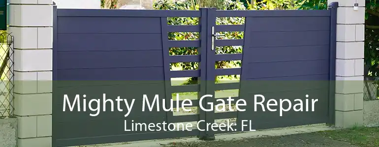 Mighty Mule Gate Repair Limestone Creek: FL