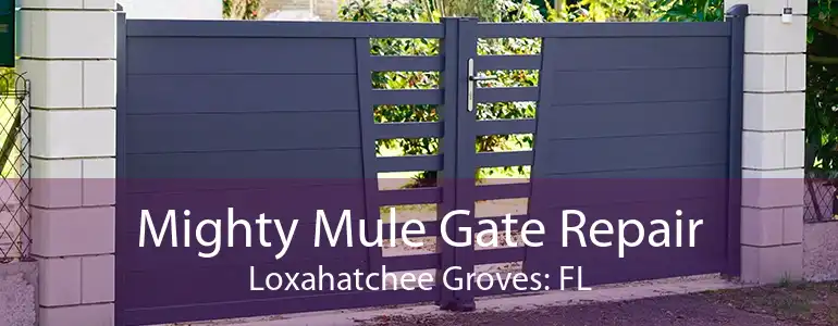 Mighty Mule Gate Repair Loxahatchee Groves: FL