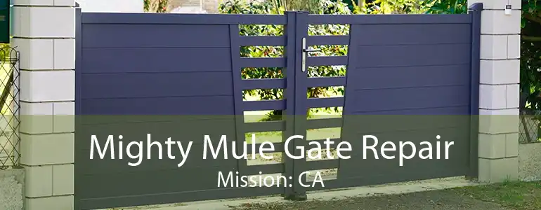 Mighty Mule Gate Repair Mission: CA