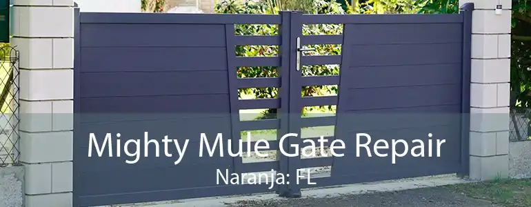 Mighty Mule Gate Repair Naranja: FL