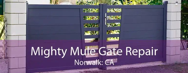 Mighty Mule Gate Repair Norwalk: CA