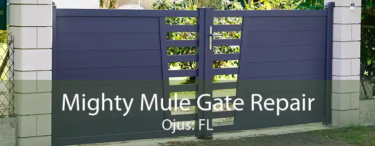 Mighty Mule Gate Repair Ojus: FL