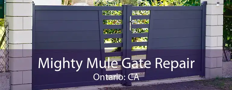 Mighty Mule Gate Repair Ontario: CA