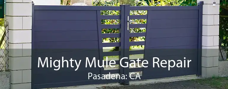 Mighty Mule Gate Repair Pasadena: CA