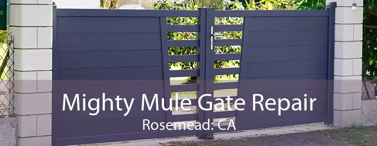 Mighty Mule Gate Repair Rosemead: CA