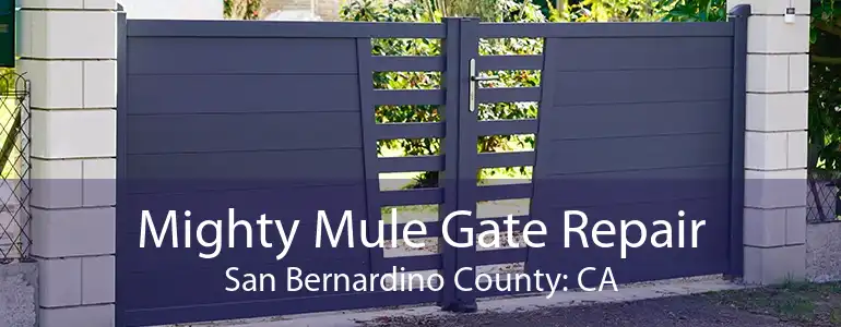 Mighty Mule Gate Repair San Bernardino County: CA