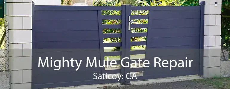 Mighty Mule Gate Repair Saticoy: CA