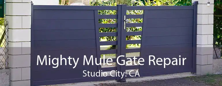 Mighty Mule Gate Repair Studio City: CA