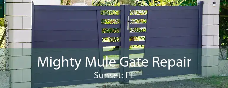 Mighty Mule Gate Repair Sunset: FL