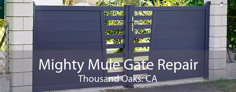 Mighty Mule Gate Repair Thousand Oaks: CA