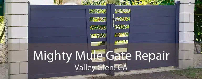 Mighty Mule Gate Repair Valley Glen: CA