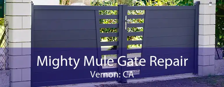 Mighty Mule Gate Repair Vernon: CA