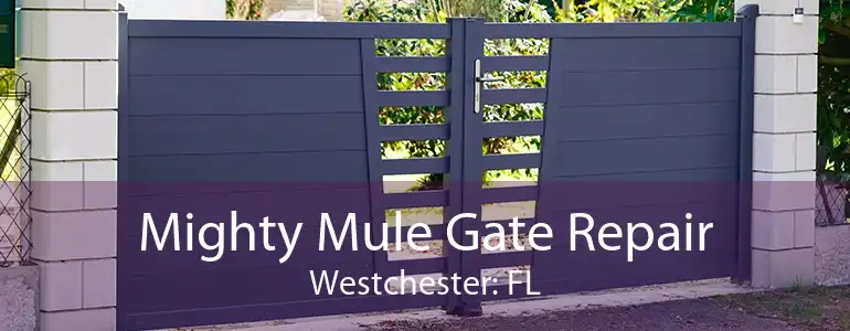 Mighty Mule Gate Repair Westchester: FL